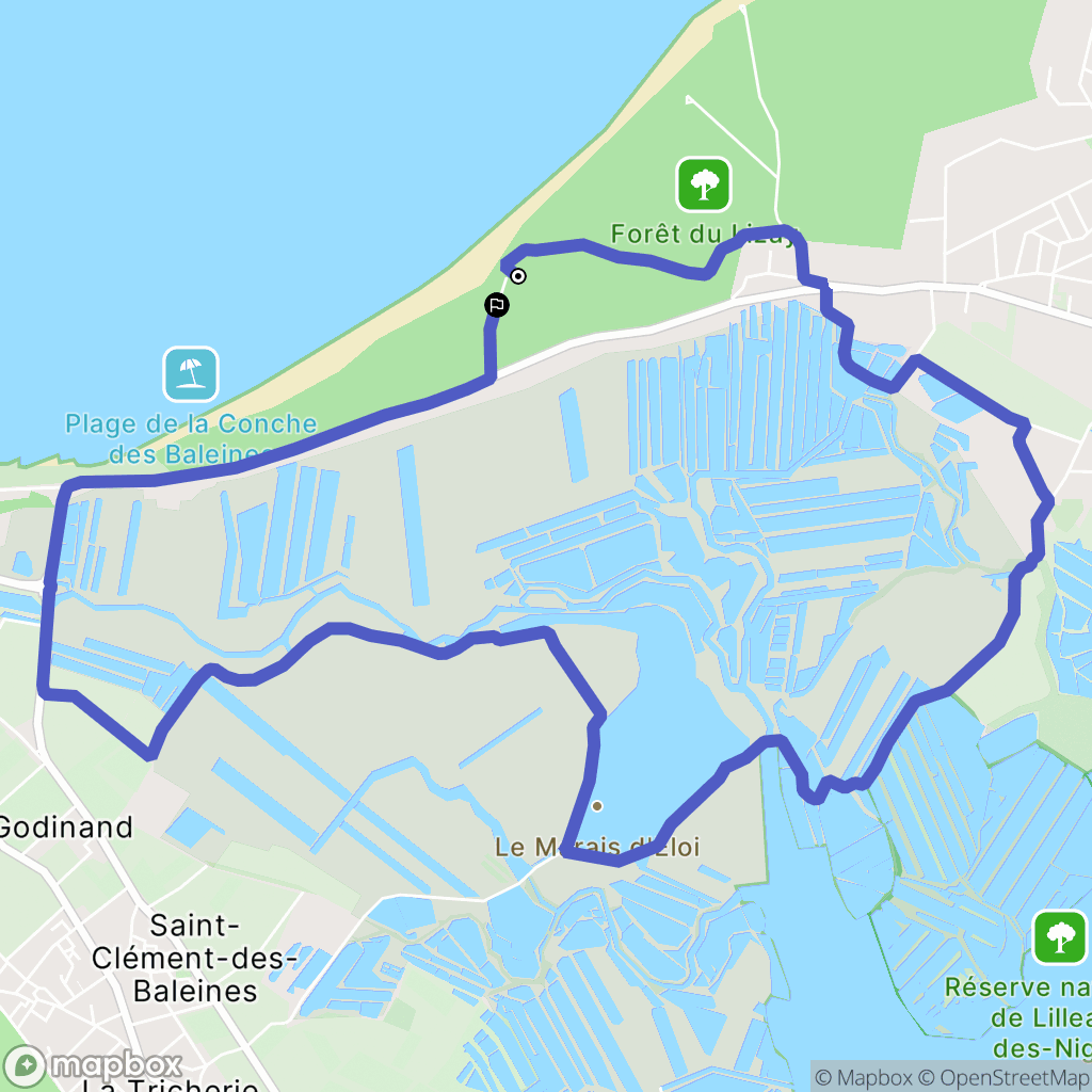 Saint-Clément-des-Baleines : carte du parcours de randonnée - France