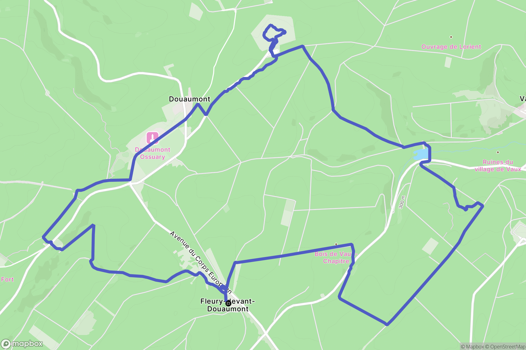 Fleury-devant-Douaumont : carte du parcours de randonnée - France