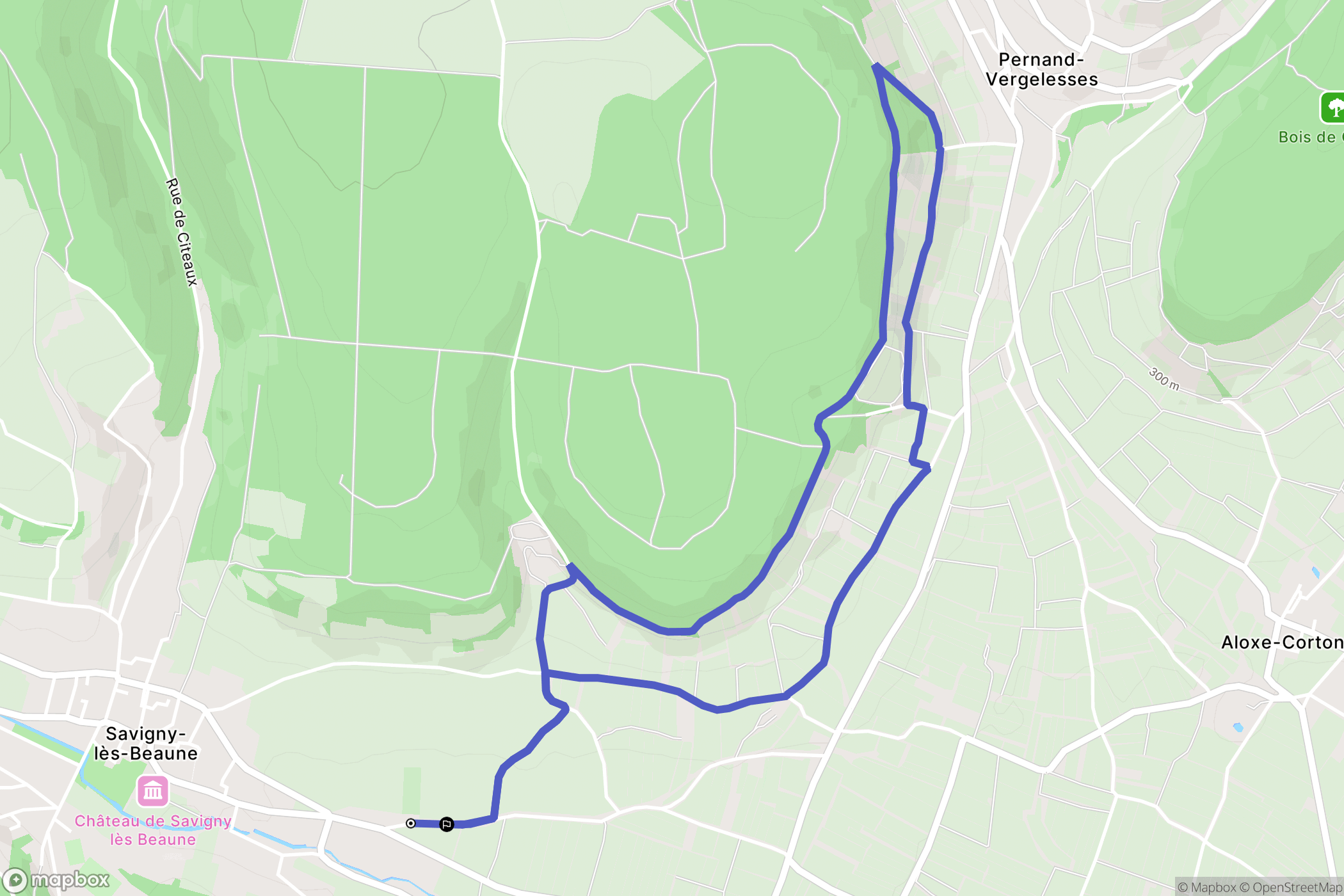 Savigny-lès-Beaune : carte du parcours de randonnée - France