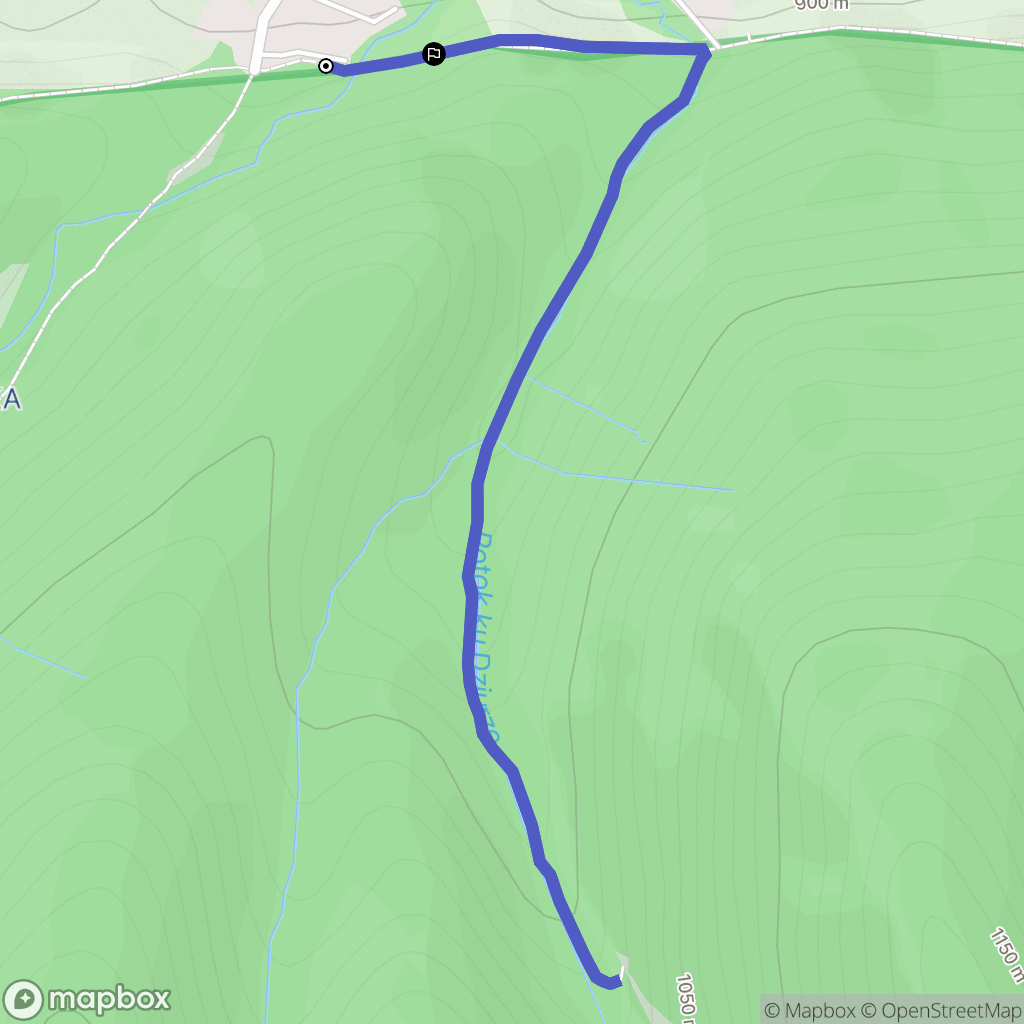 Zakopane: mapa trasy - Poland