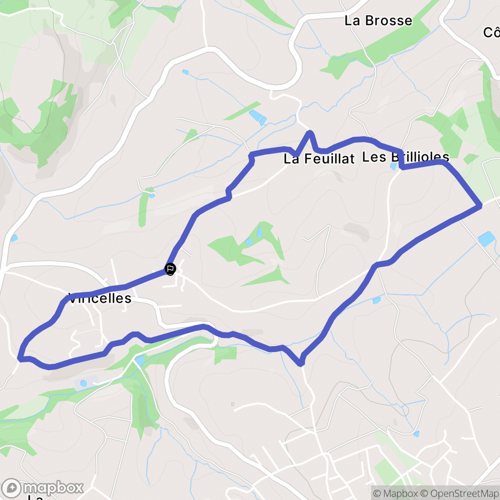 Viricelles : carte du parcours de randonnée - France