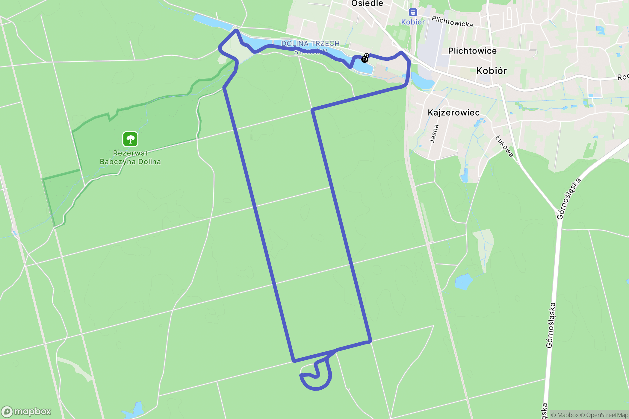 Kobiór: mapa trasy - Poland