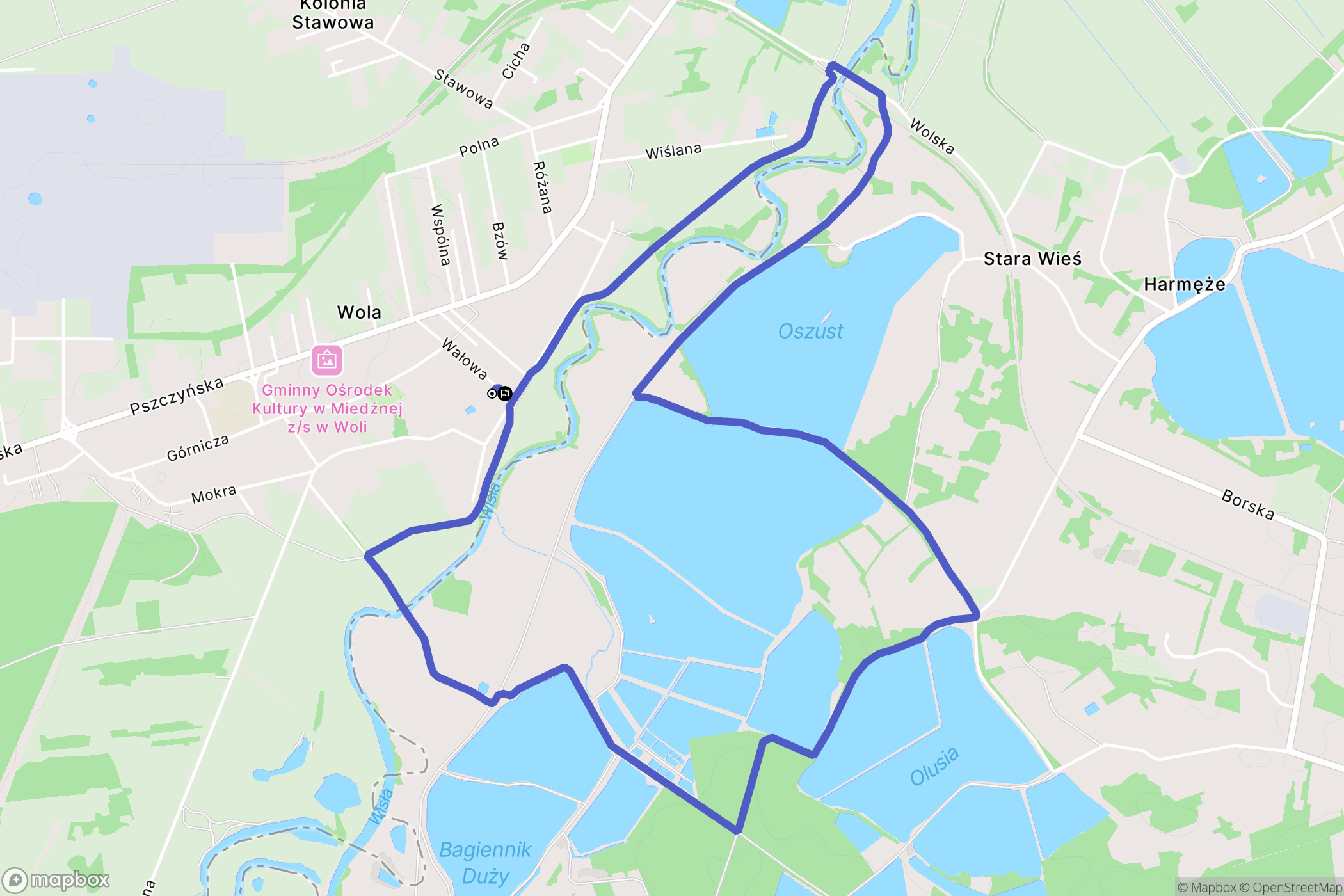 Wola: mapa trasy - Poland