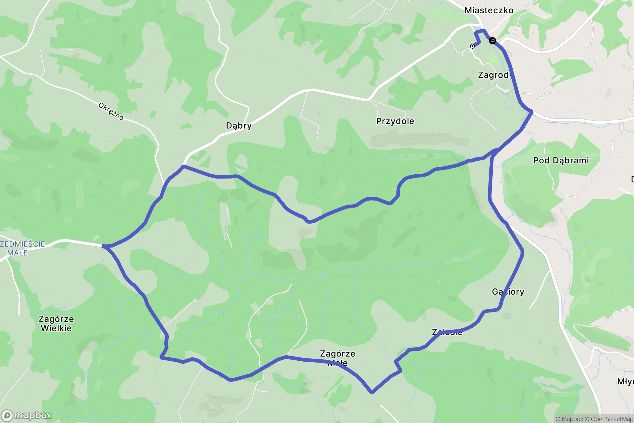 Rzepiennik Strzyżewski: mapa trasy - Poland