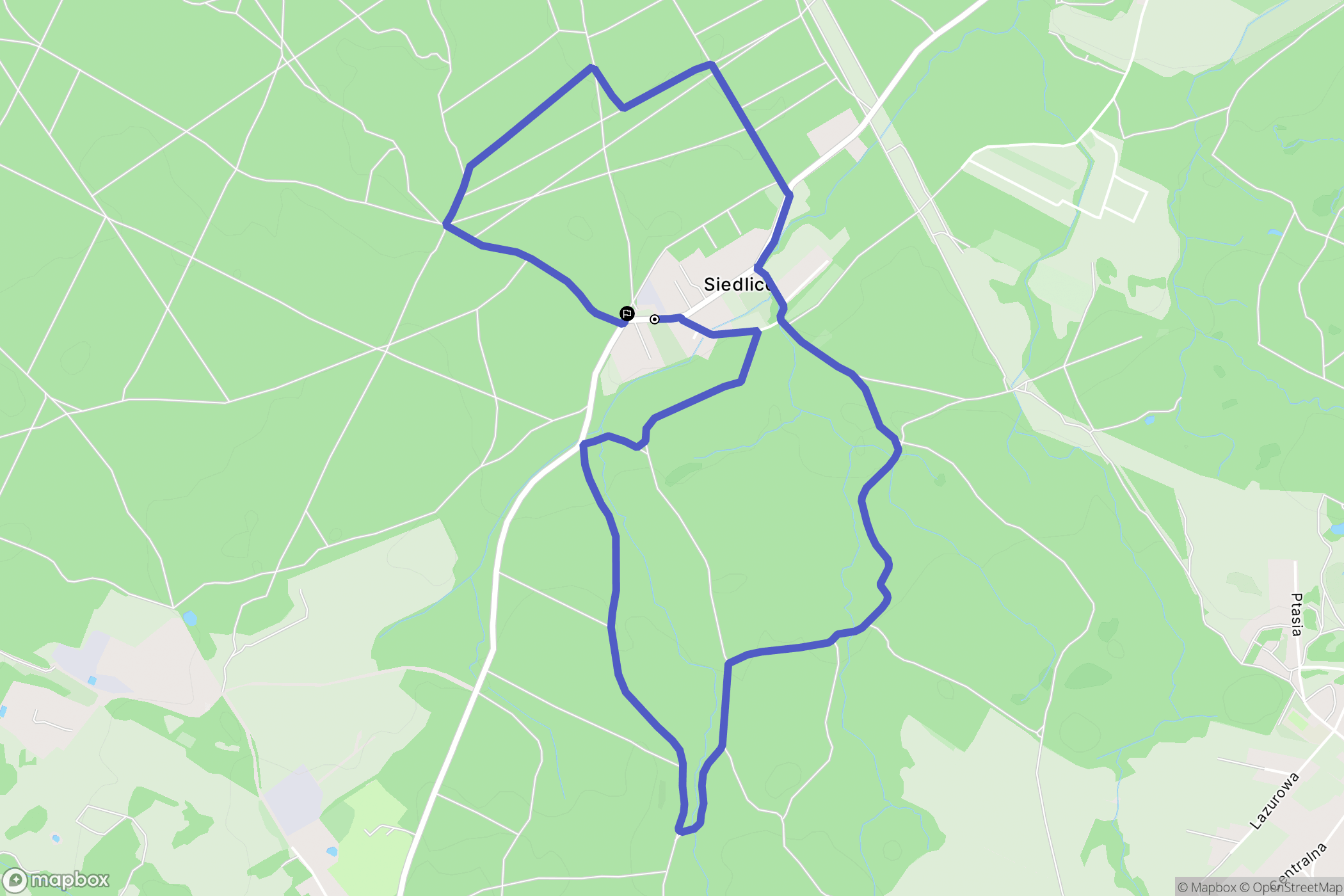 Siedlice: mapa trasy - Poland