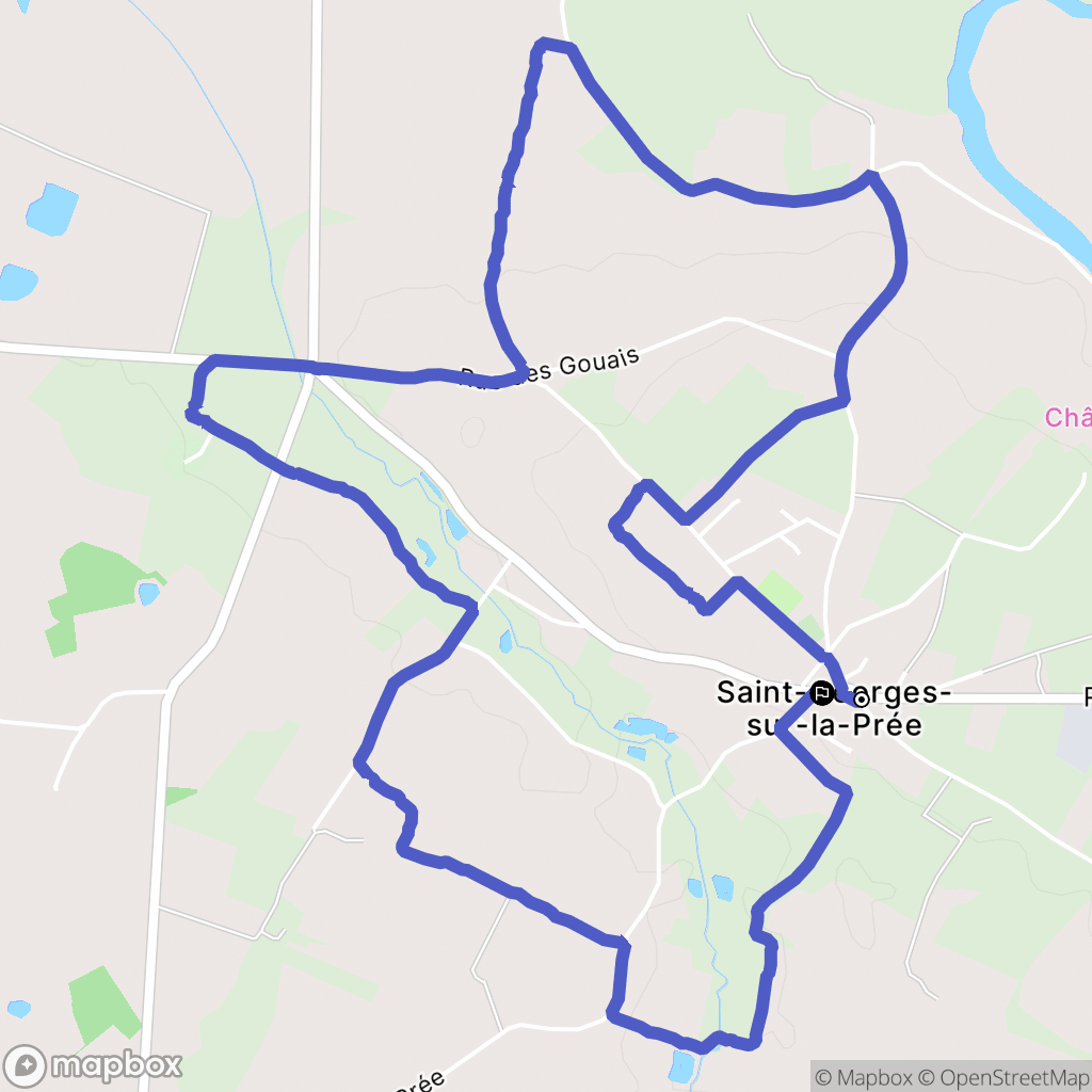 Saint-Georges-sur-la-Prée : carte du parcours de randonnée - France