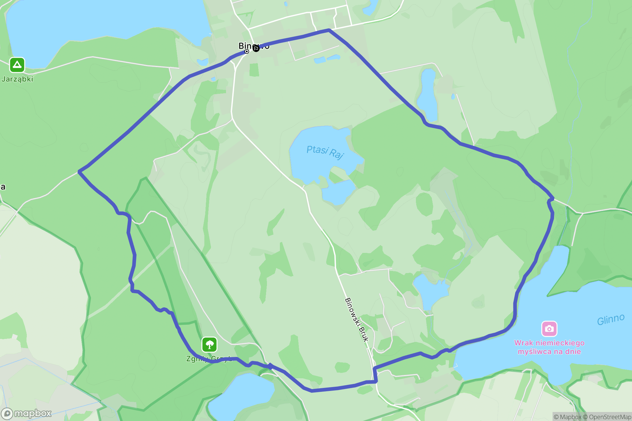 Binowo: mapa trasy - Poland