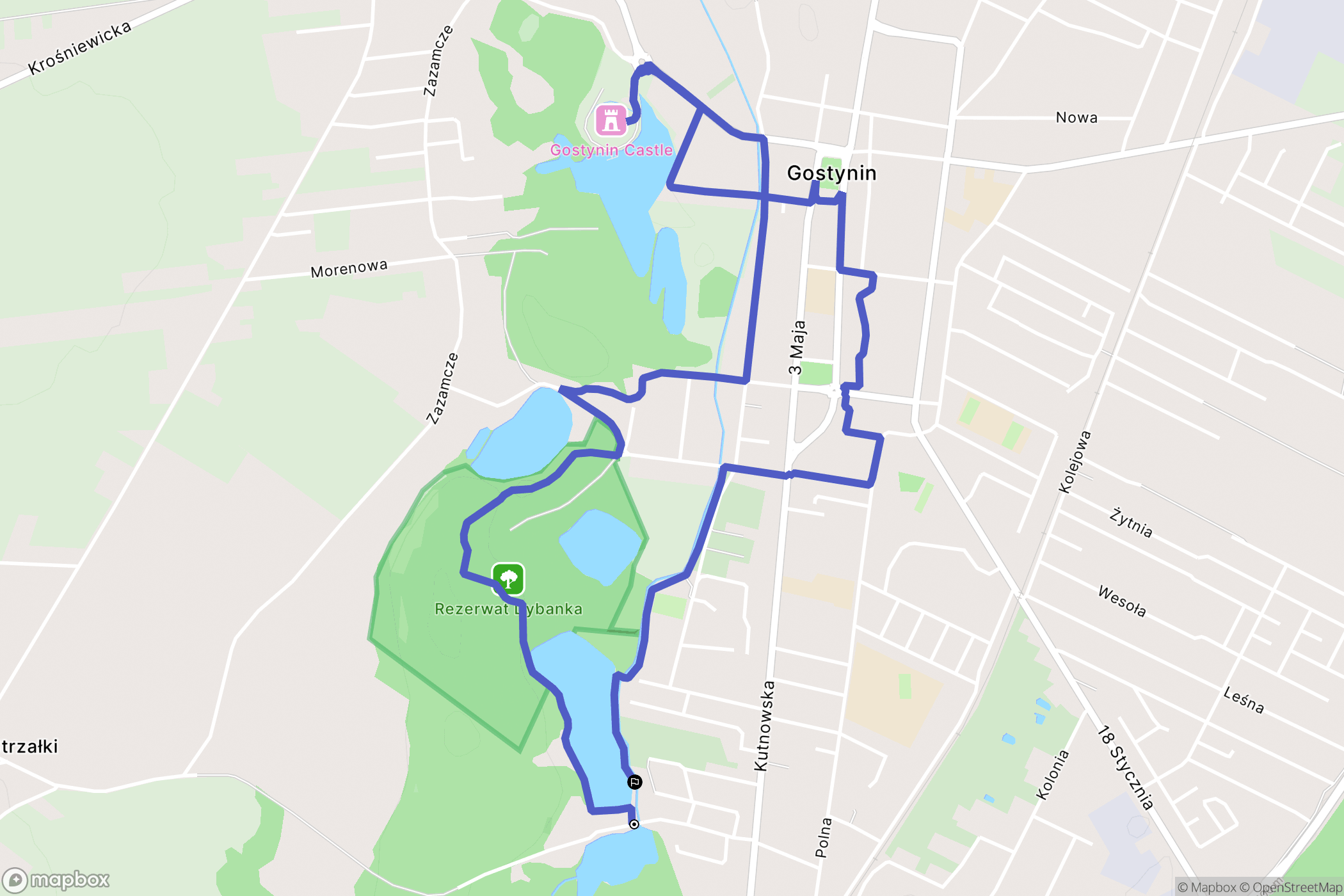 Gostynin: mapa trasy - Poland