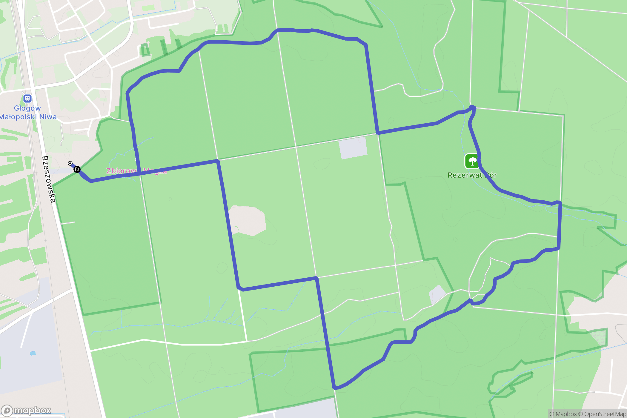 Głogów Małopolski: mapa trasy - Poland