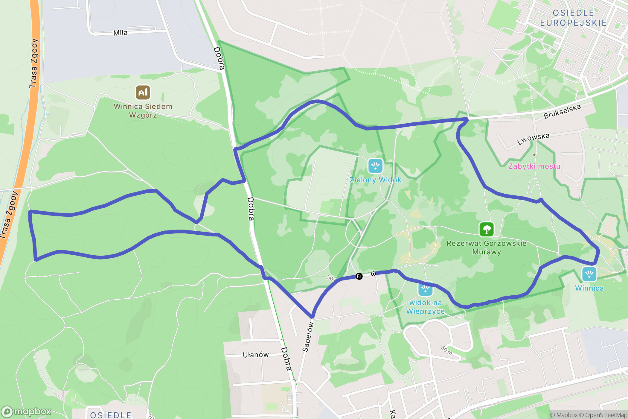 Gorzów Wielkopolski: mapa trasy - Poland