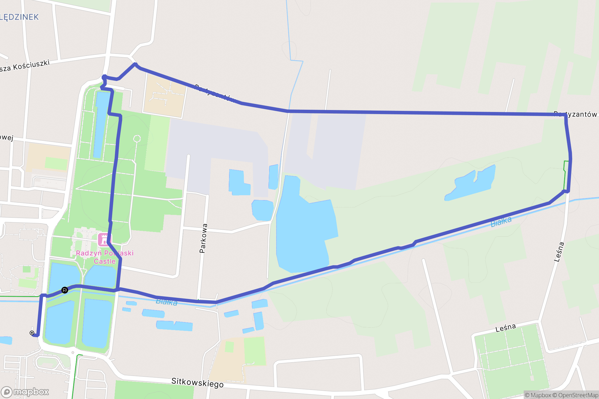 Radzyń Podlaski: mapa trasy - Poland