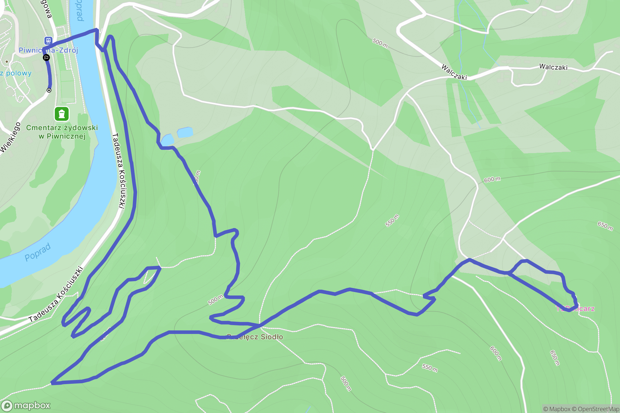 Piwniczna-Zdrój: mapa trasy - Poland