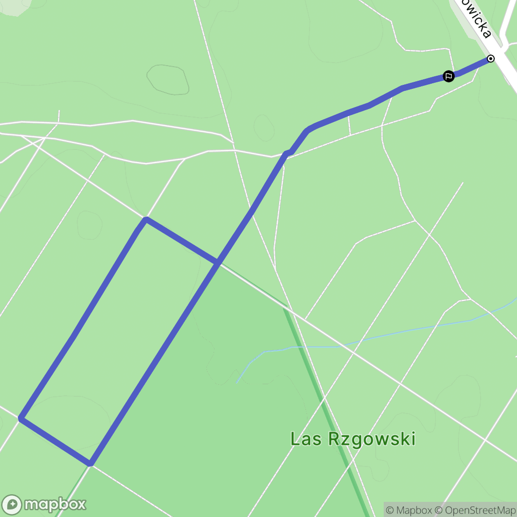 Rzgów: mapa trasy - Poland