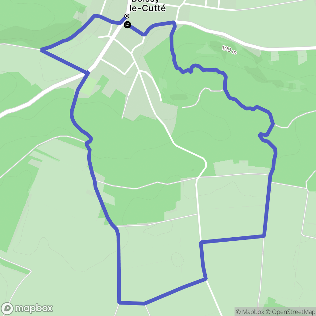 Boissy-le-Cutté : carte du parcours de randonnée - France