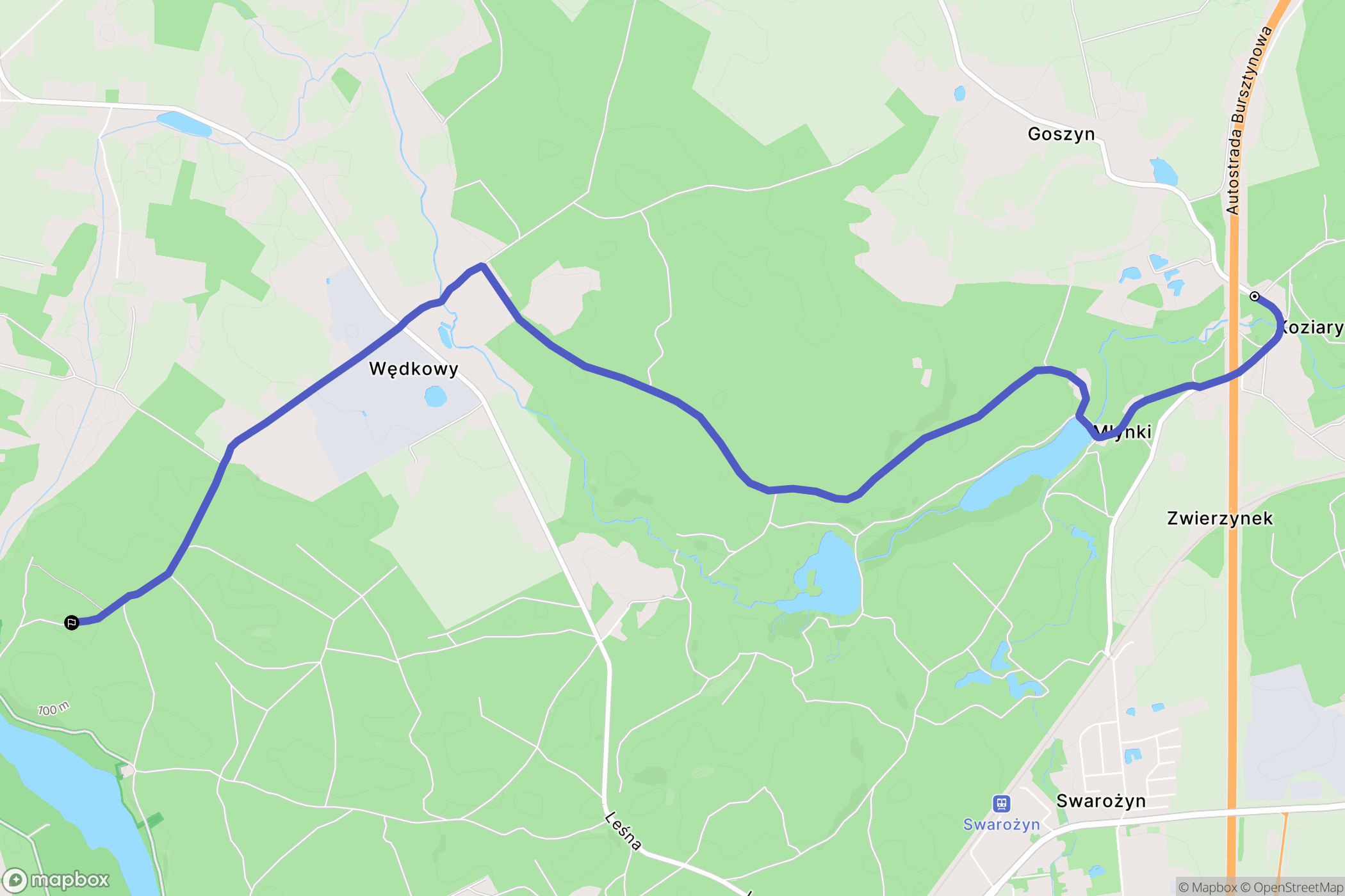 Goszyn: mapa trasy - Poland
