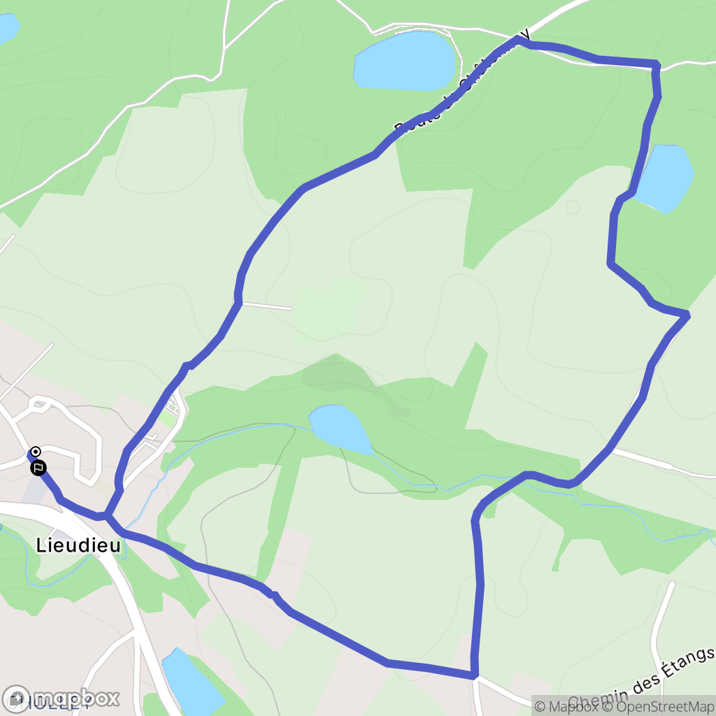 Lieudieu : carte du parcours de randonnée - France