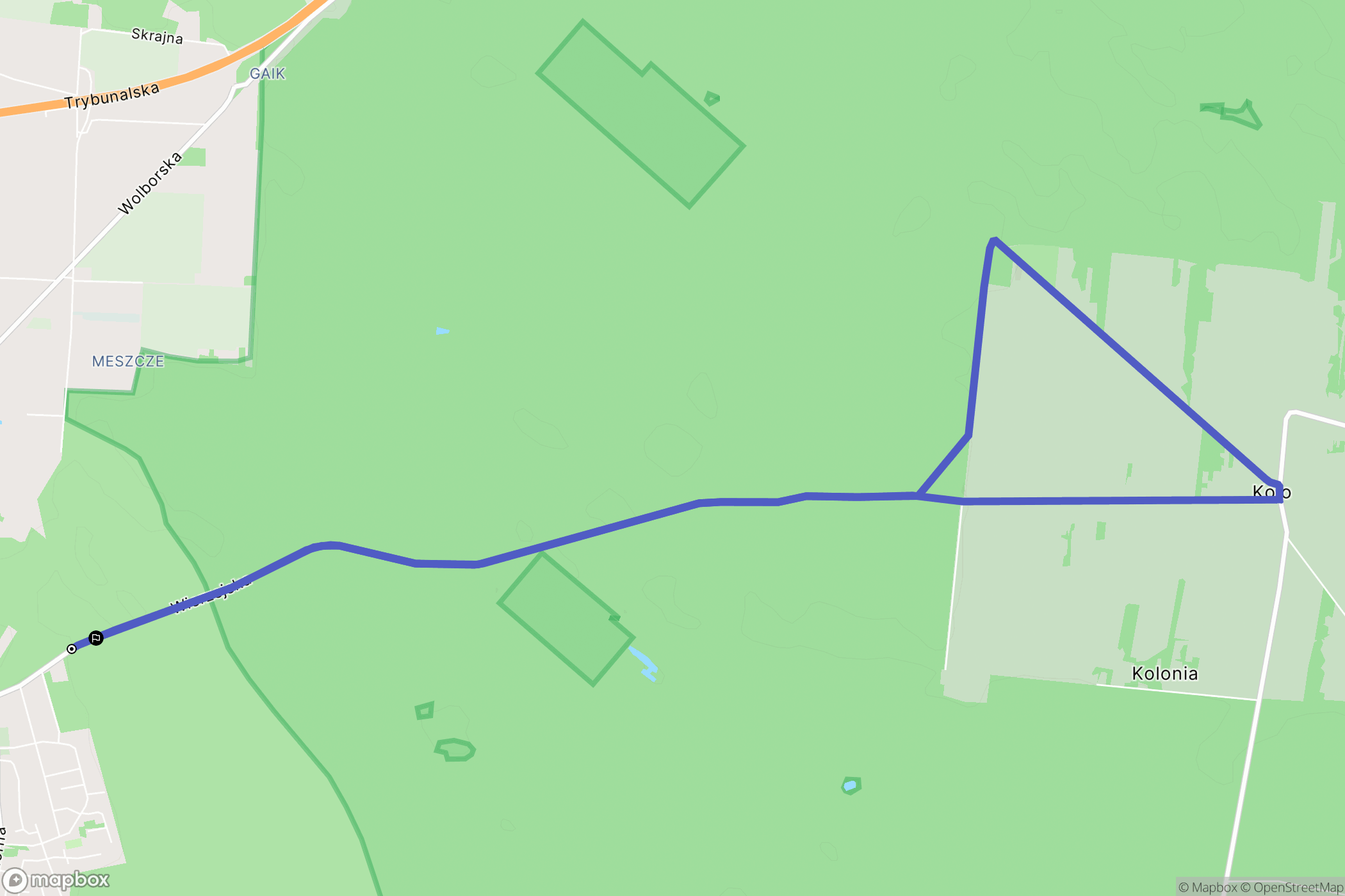 Piotrków Trybunalski: mapa trasy - Poland
