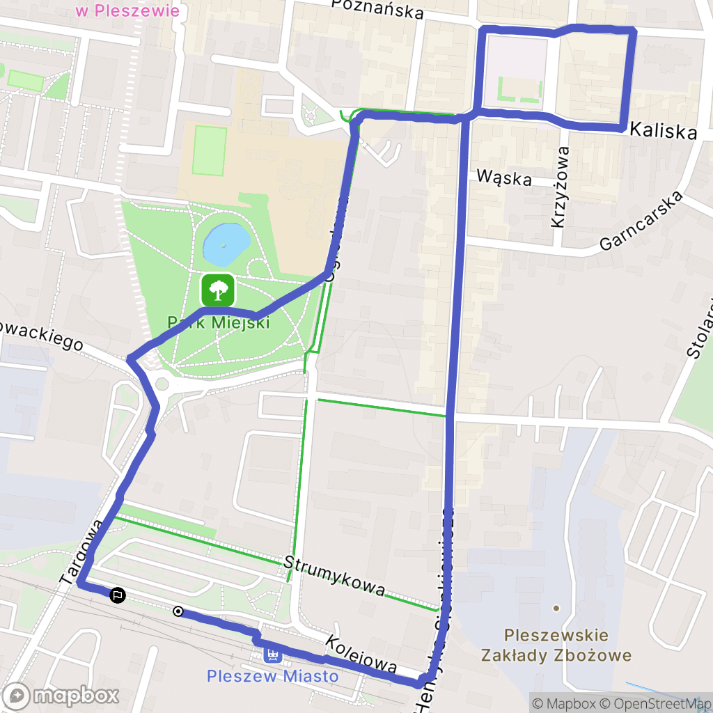 Pleszew: mapa trasy - Poland
