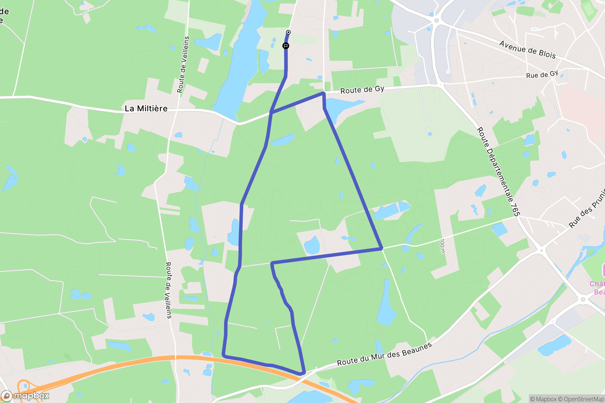 Pruniers-en-Sologne : carte du parcours de randonnée - France