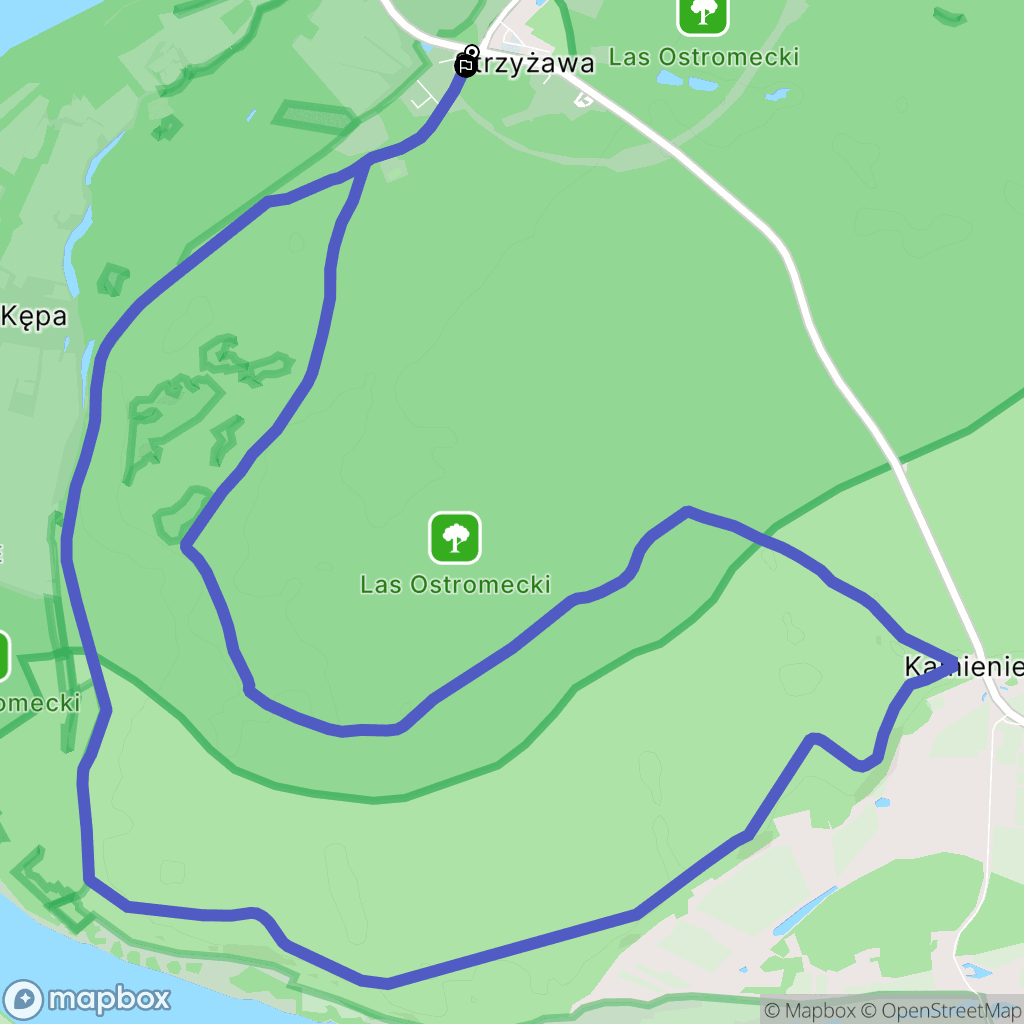 Strzyżawa: mapa trasy - Poland