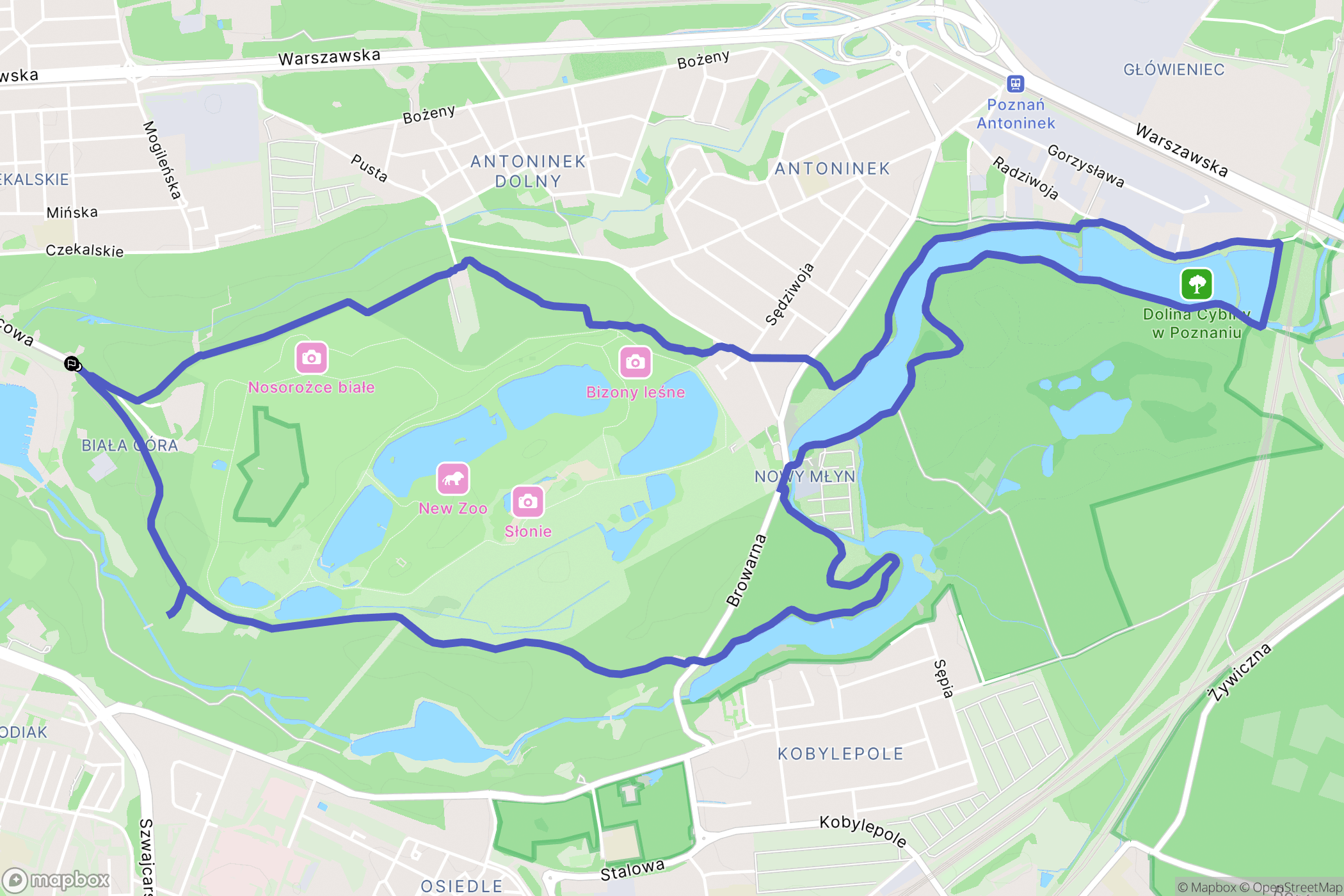 Poznań: mapa trasy - Poland