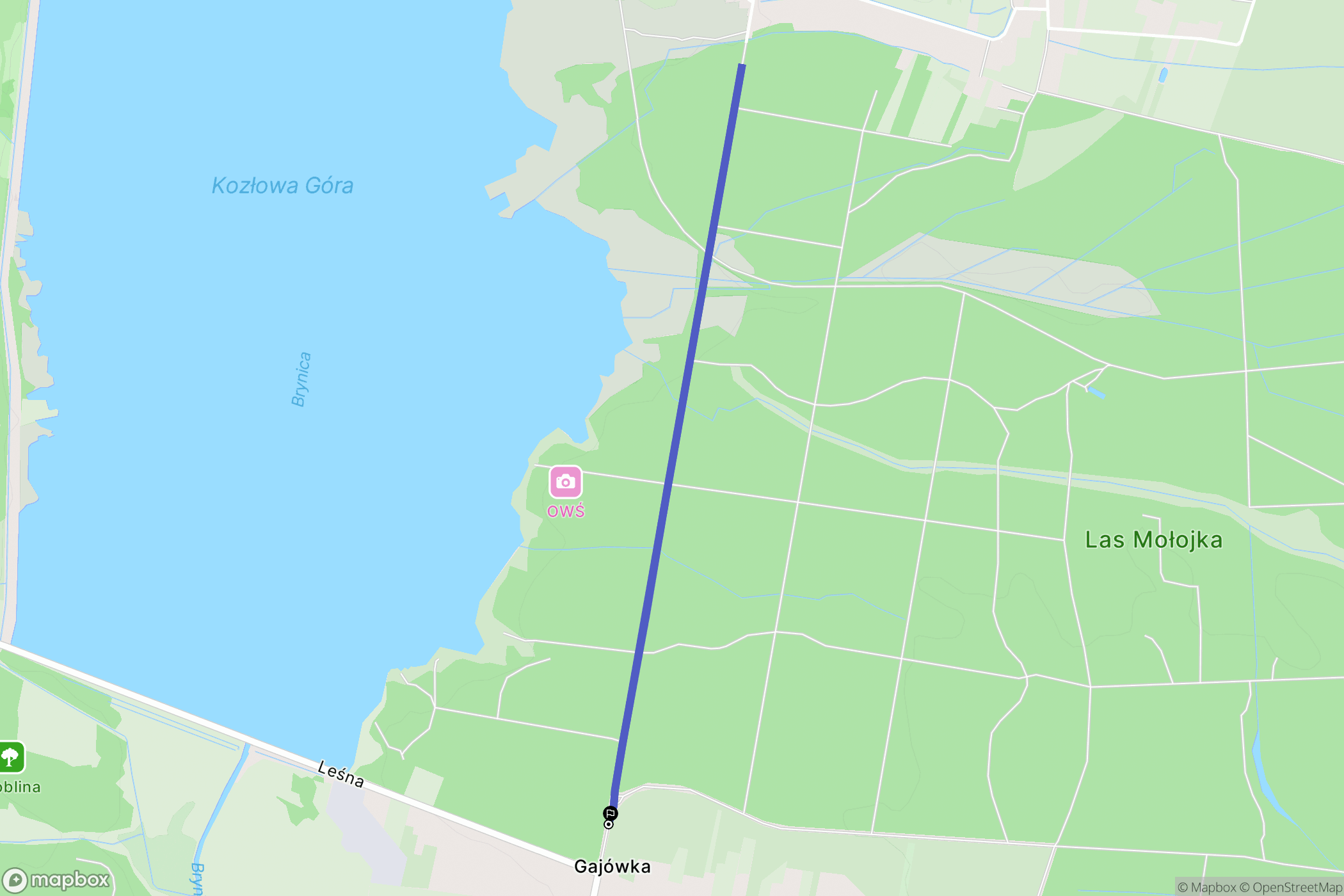 Wymysłów: mapa trasy - Poland