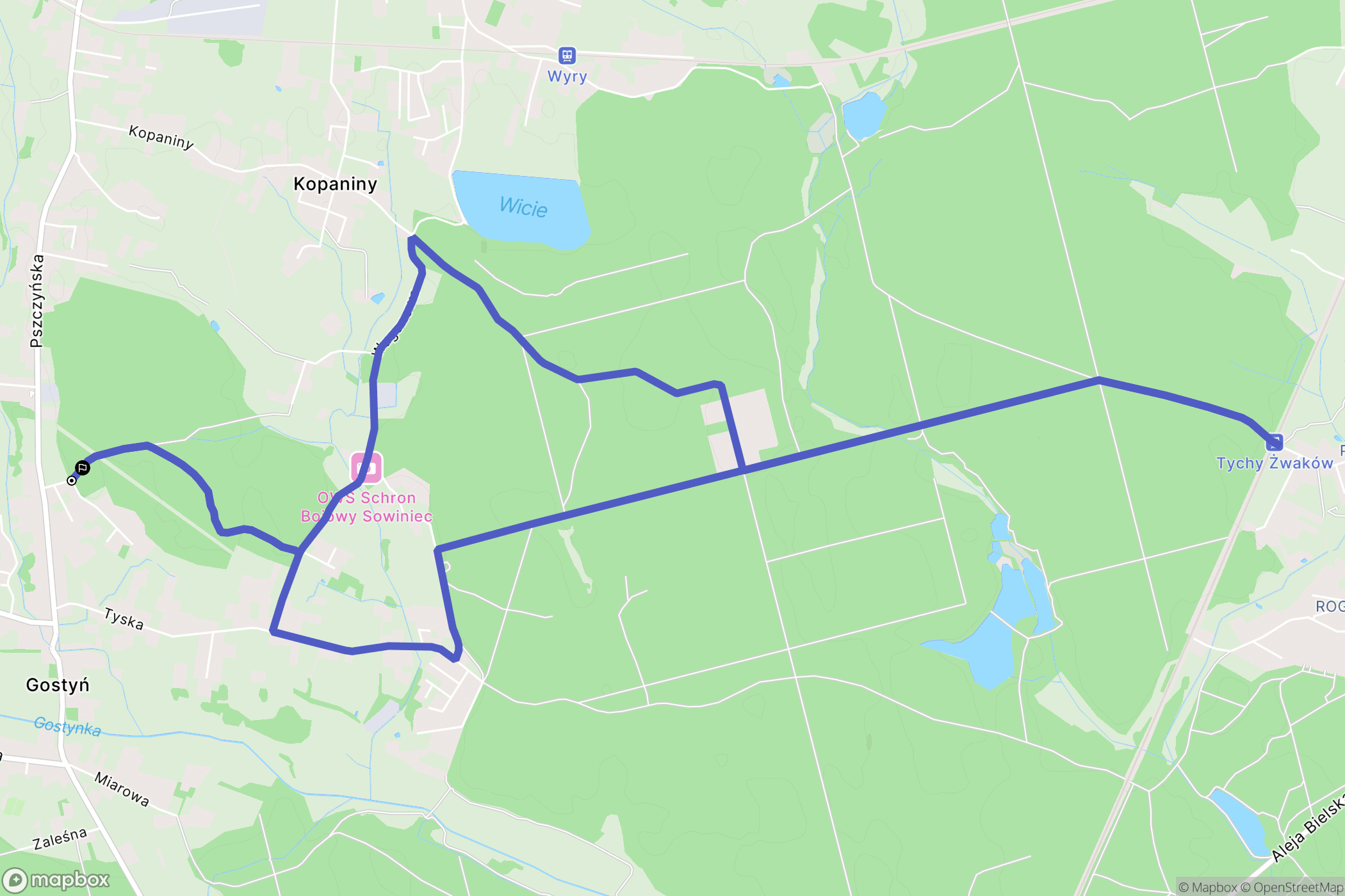 Gostyń: mapa trasy - Poland