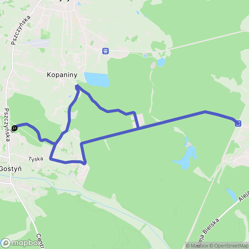 Gostyń: mapa trasy - Poland