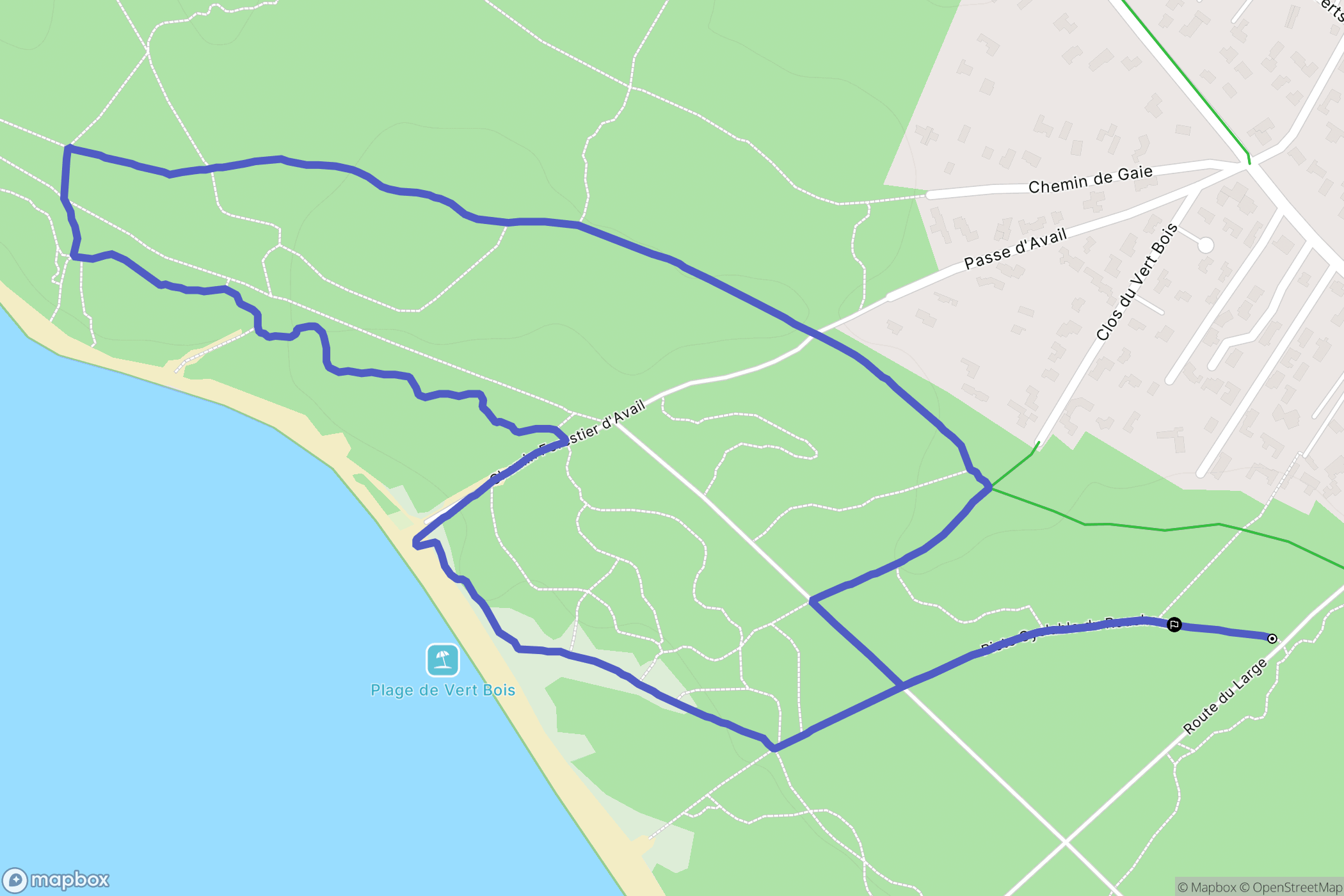 Dolus-d'Oléron : carte du parcours de randonnée - France