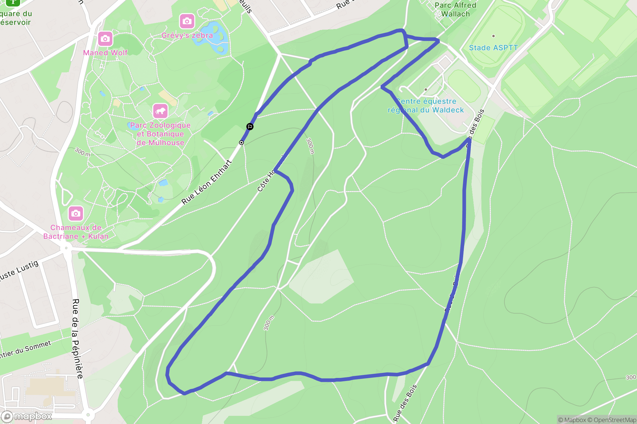 Mulhouse : carte du parcours de randonnée - France