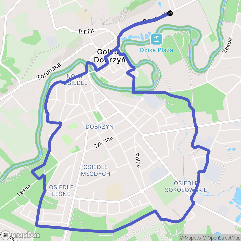 Golub-Dobrzyń: mapa trasy - Poland