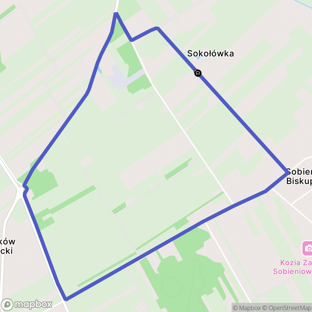 Sobienie Biskupie: mapa trasy - Poland