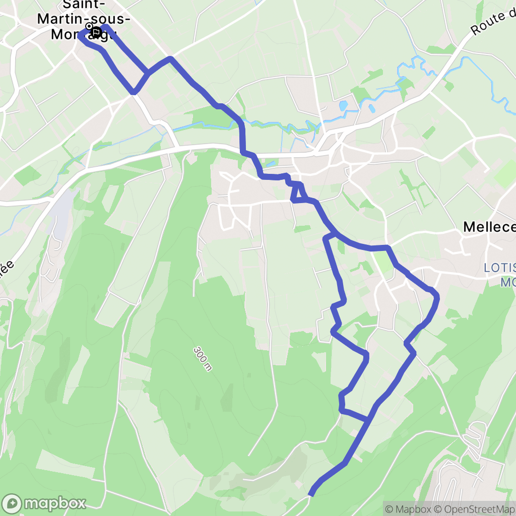 Saint-Martin-sous-Montaigu : carte du parcours de randonnée - France