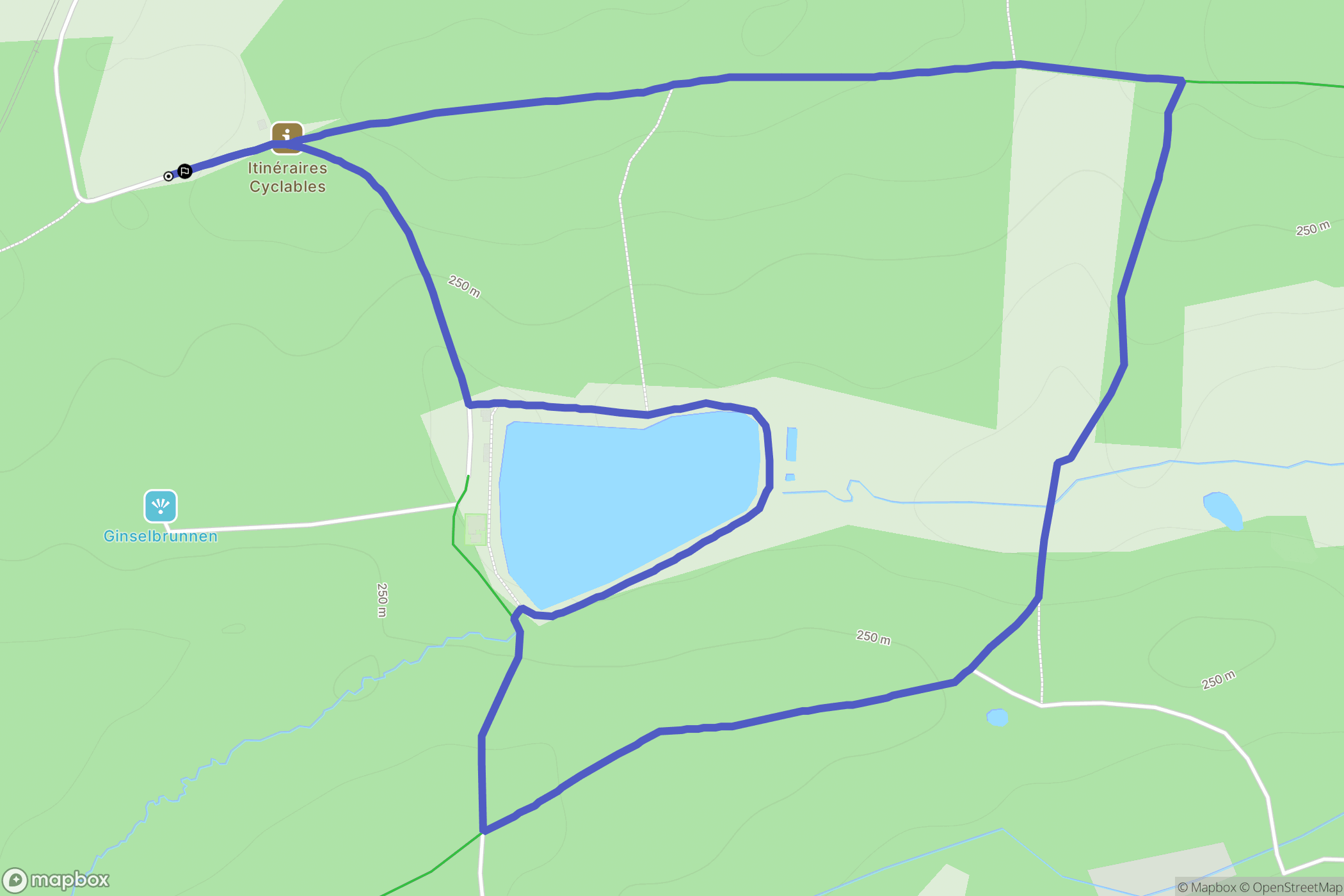 Diebling : carte du parcours de randonnée - France