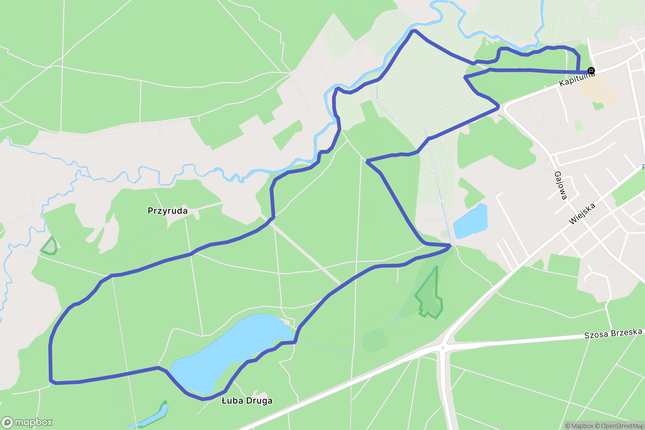 Włocławek: mapa trasy - Poland