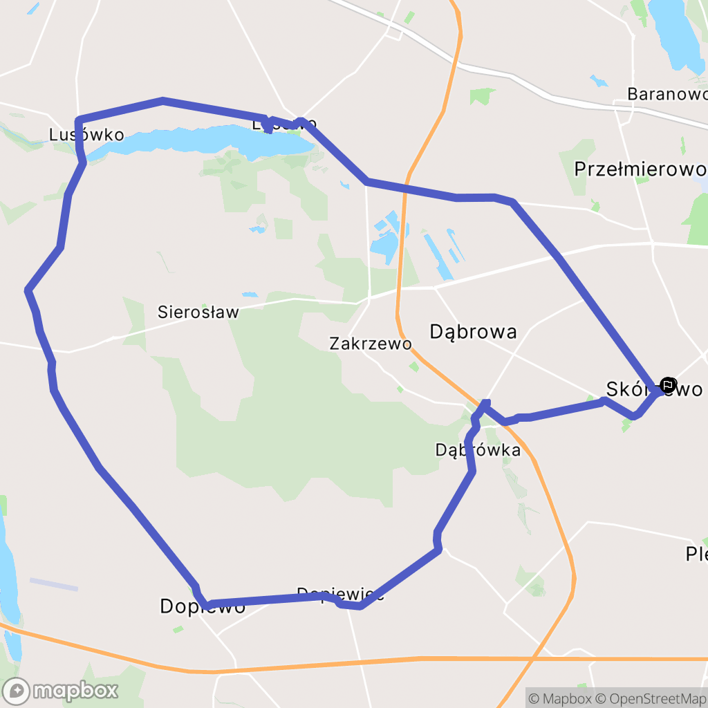 Skórzewo: mapa trasy - Poland
