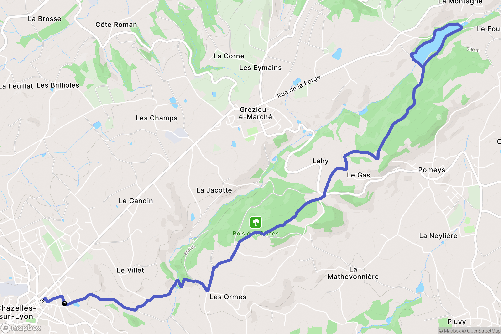 Chazelles-sur-Lyon : carte du parcours de randonnée - France