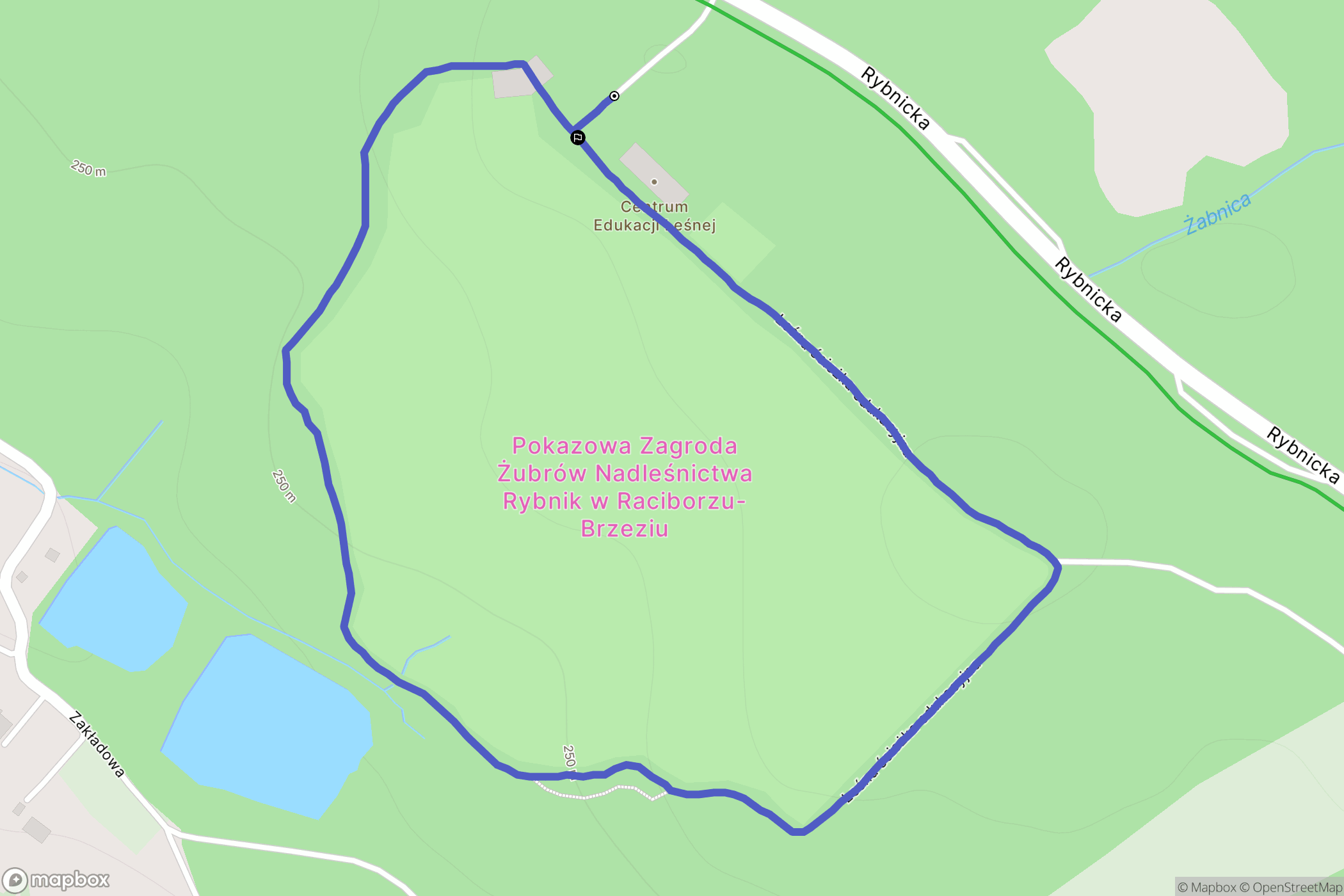 Raciborz: mapa trasy - Poland