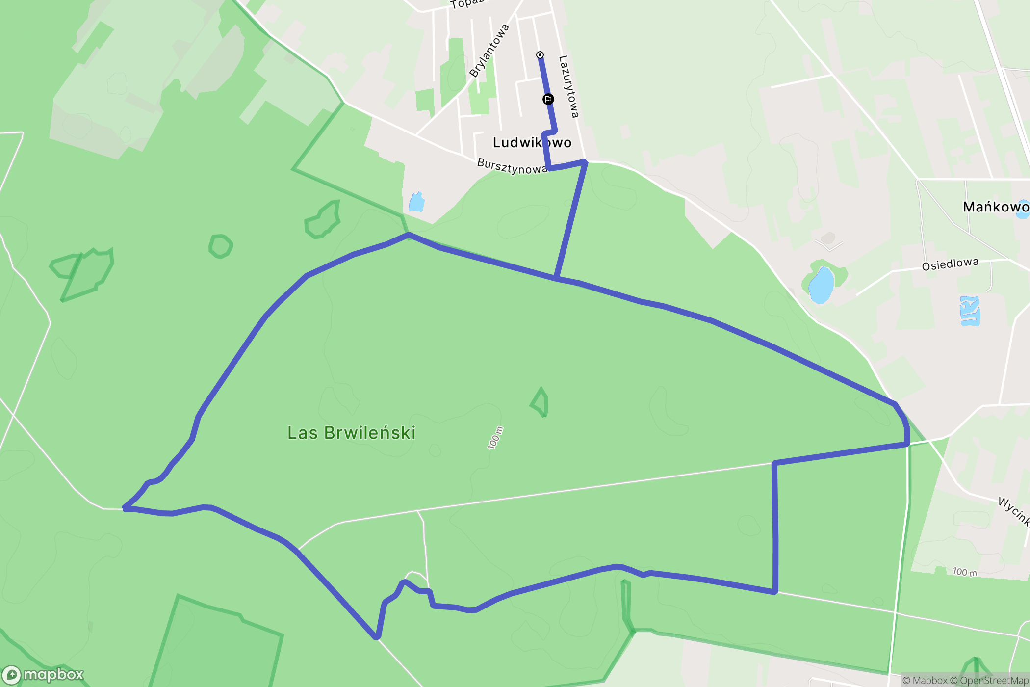 Ludwikowo: mapa trasy - Poland