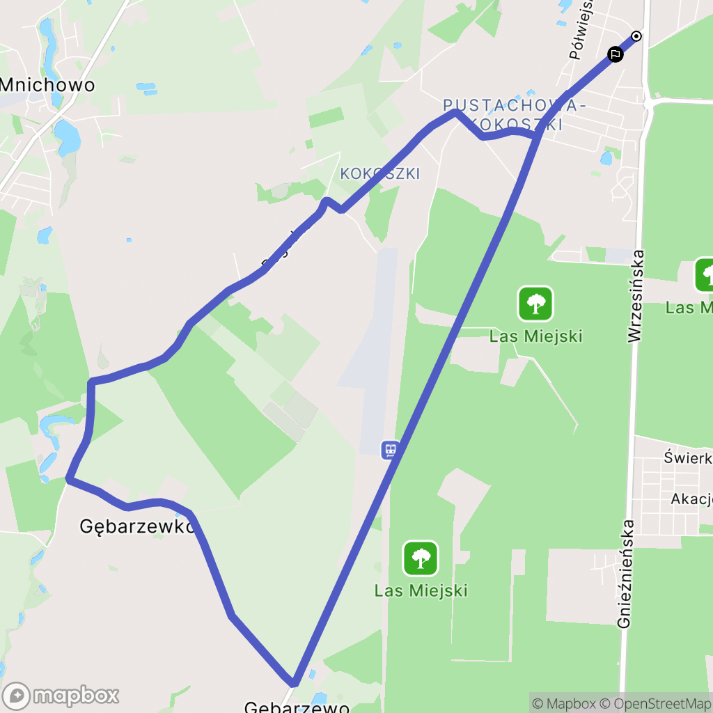 Gniezno: mapa trasy - Poland