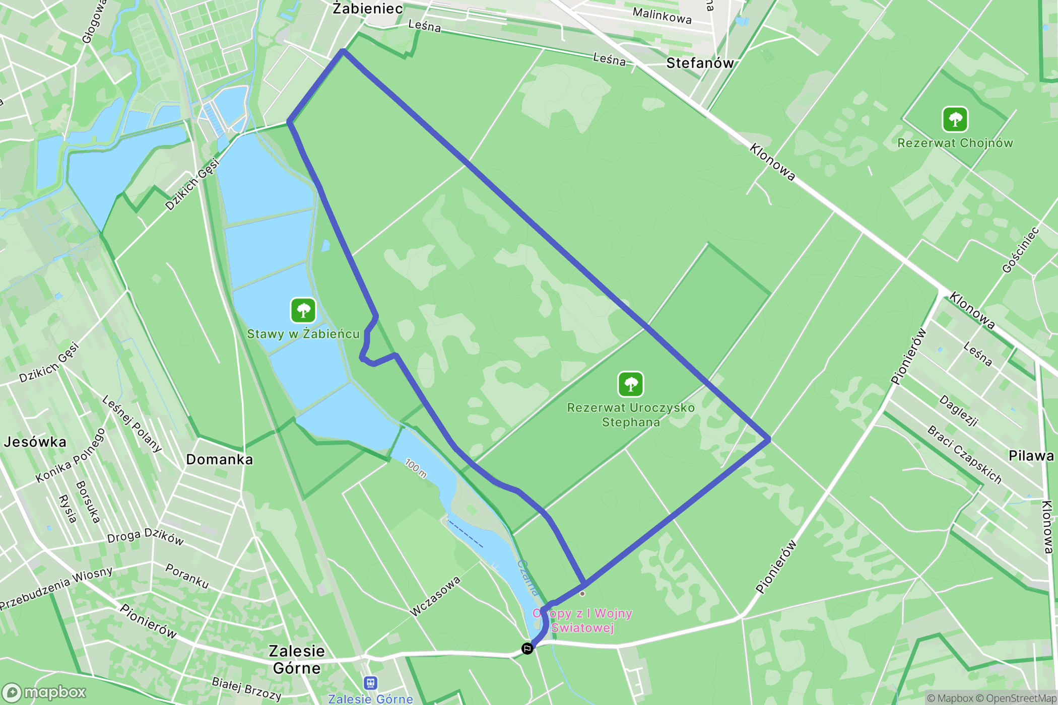 Zalesie Górne: mapa trasy - Poland