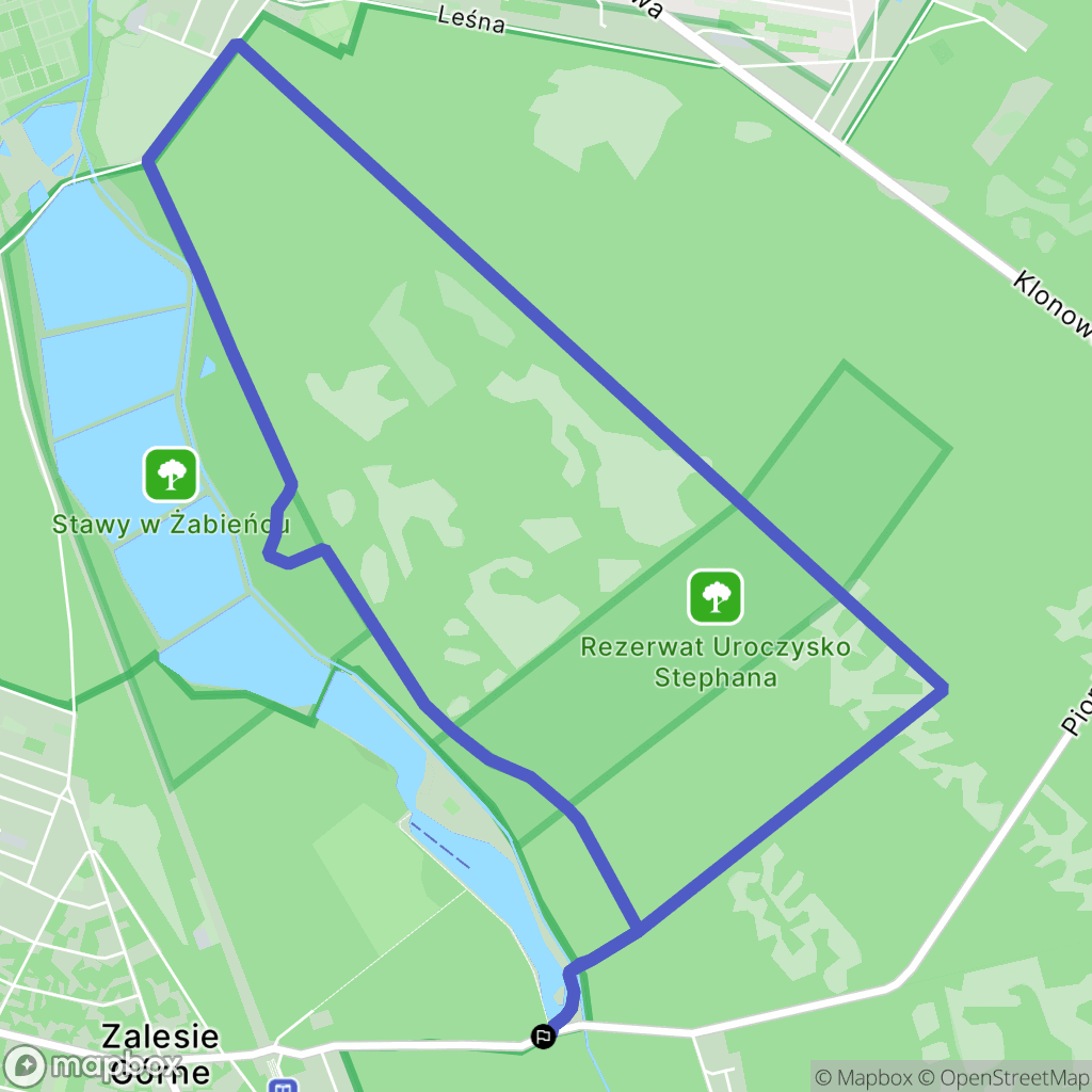Zalesie Górne: mapa trasy - Poland