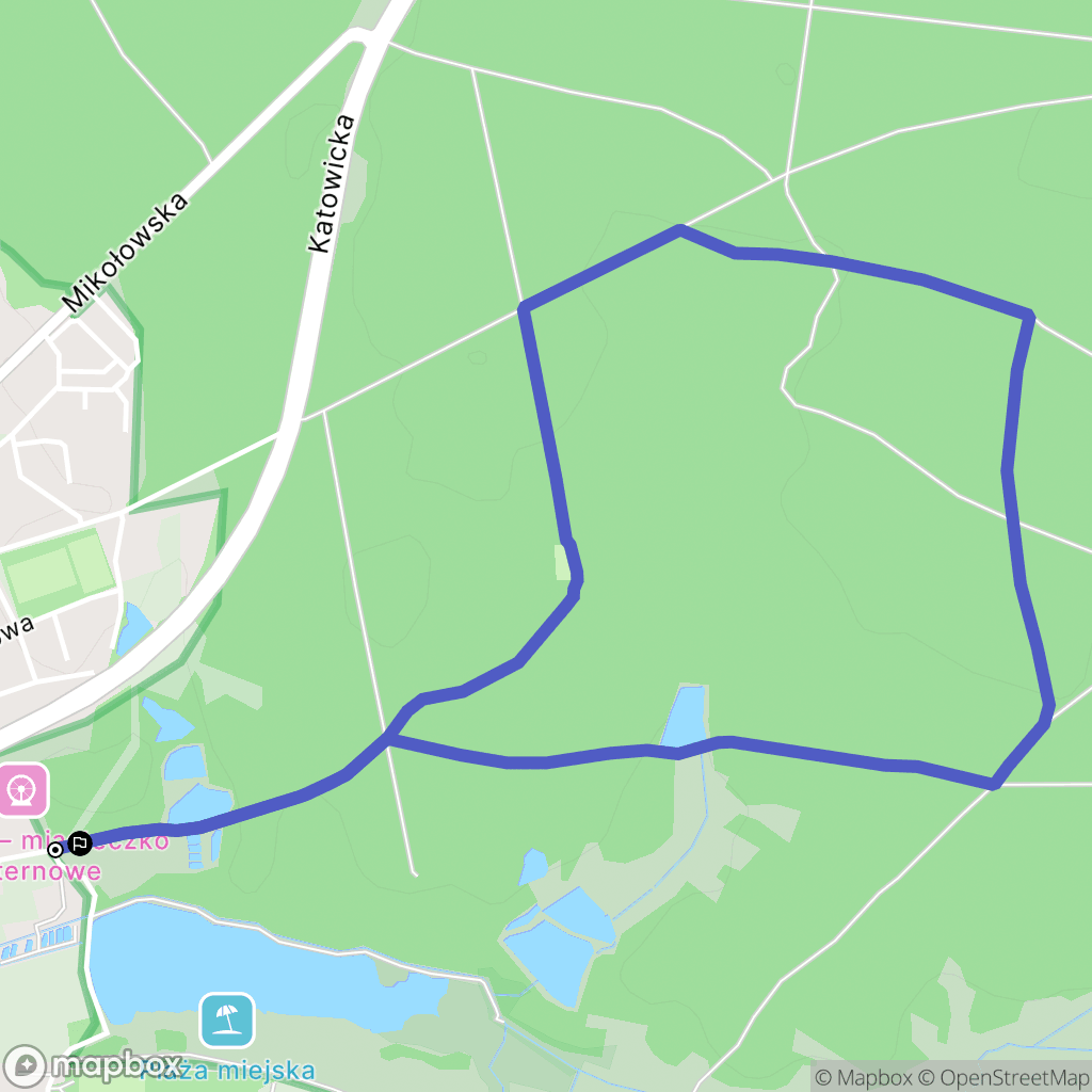 Żory: mapa trasy - Poland