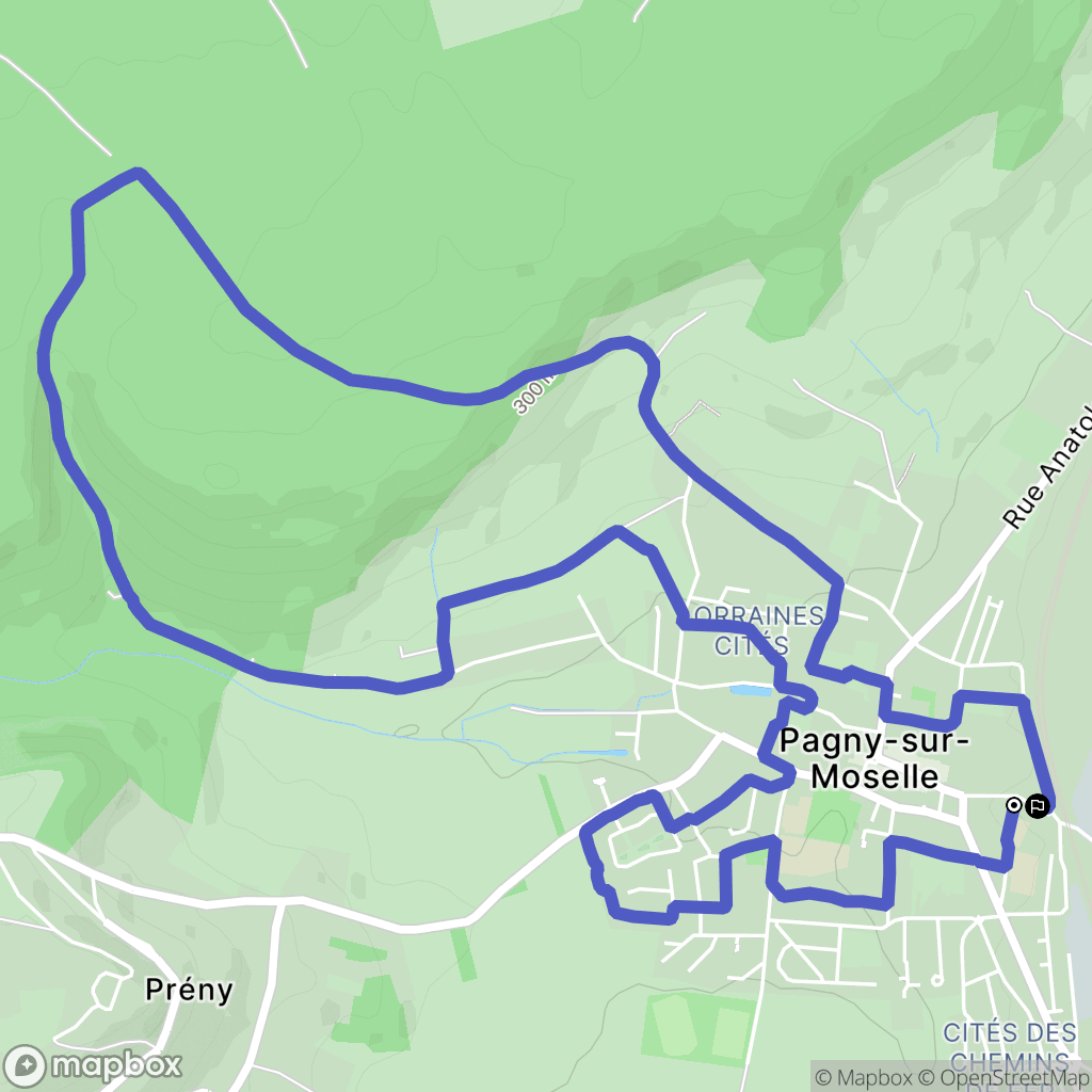 Pagny-sur-Moselle : carte du parcours de randonnée - France