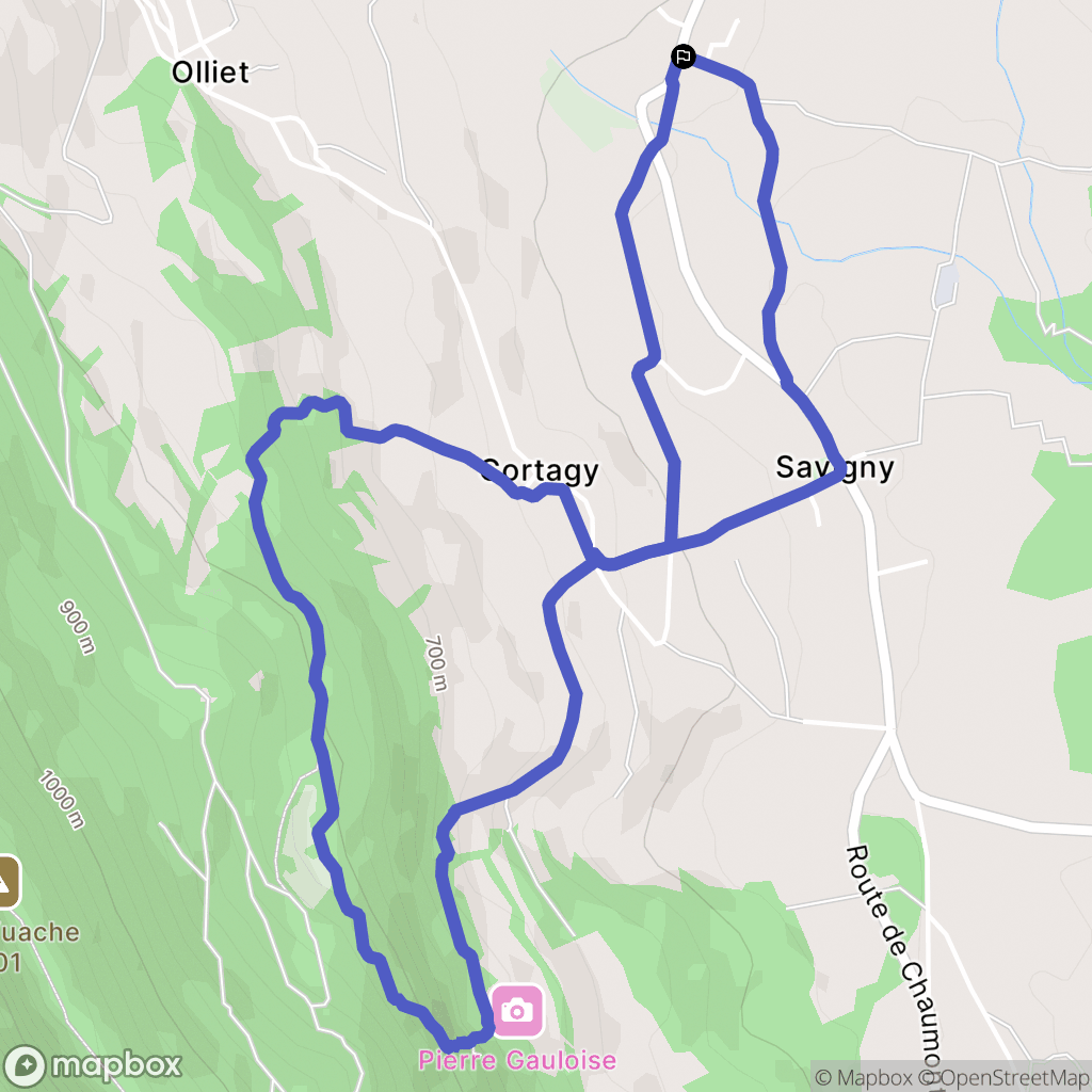 Savigny : carte du parcours de randonnée - France