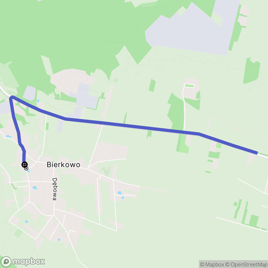 Bierkowo: mapa trasy - Poland