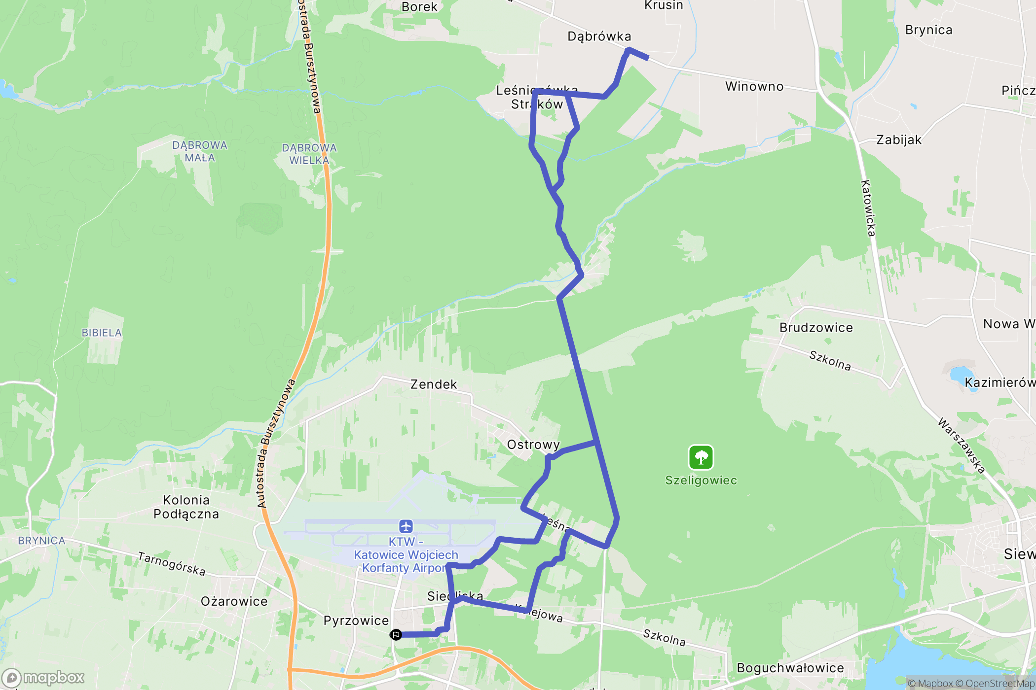 Pyrzowice: mapa trasy - Poland
