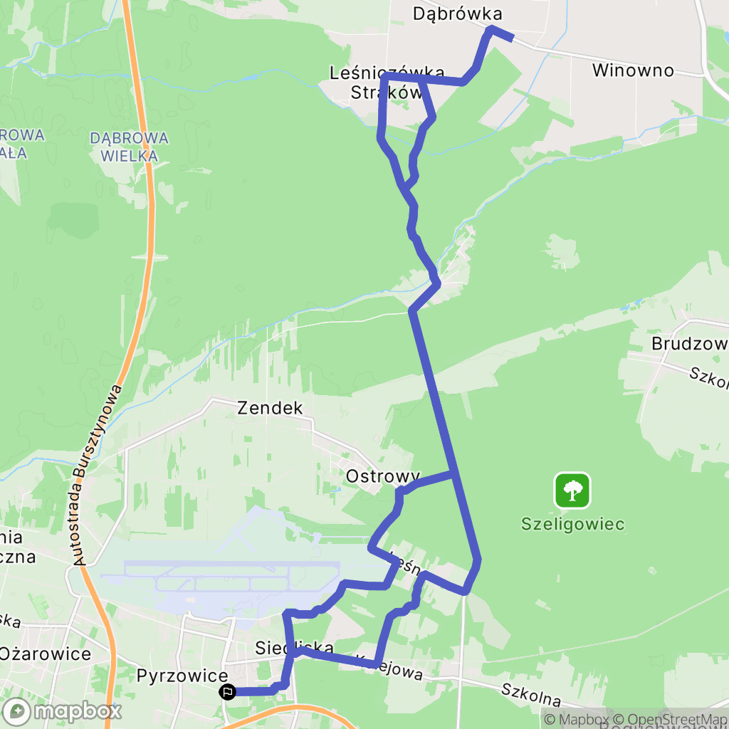 Pyrzowice: mapa trasy - Poland