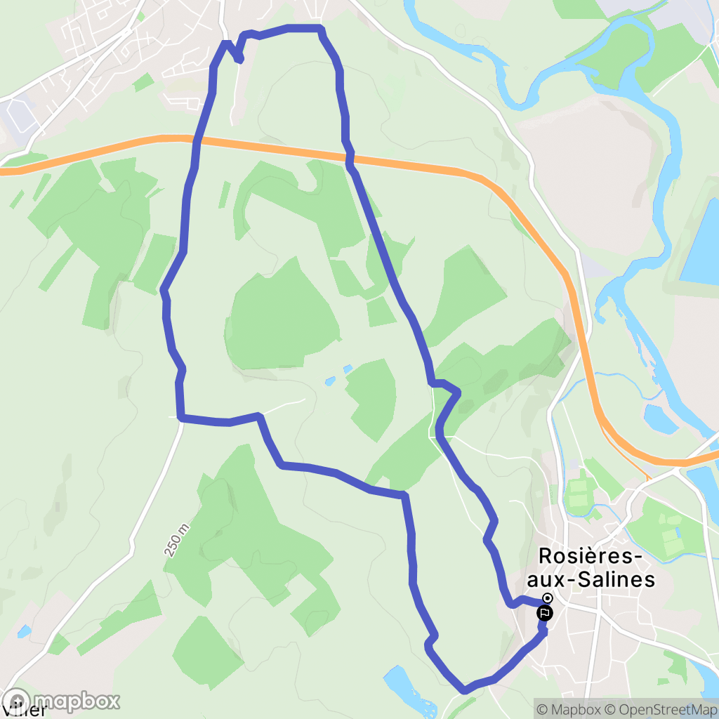 Rosières-aux-Salines : carte du parcours de randonnée - France