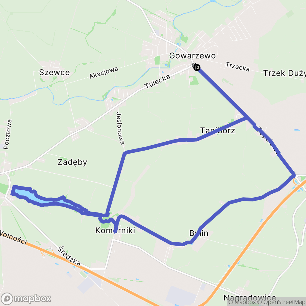 Gowarzewo: mapa trasy - Poland